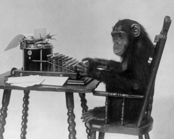 A chimp wishes it could tell its friends about the amazing bargains to be had.