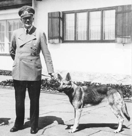 A known cat lover, Hitler never complained about walking the dogs in an effort to keep the peace. (Image attribution: Bundesarchiv, B 145 Bild-F051673-0059 / CC-BY-SA)